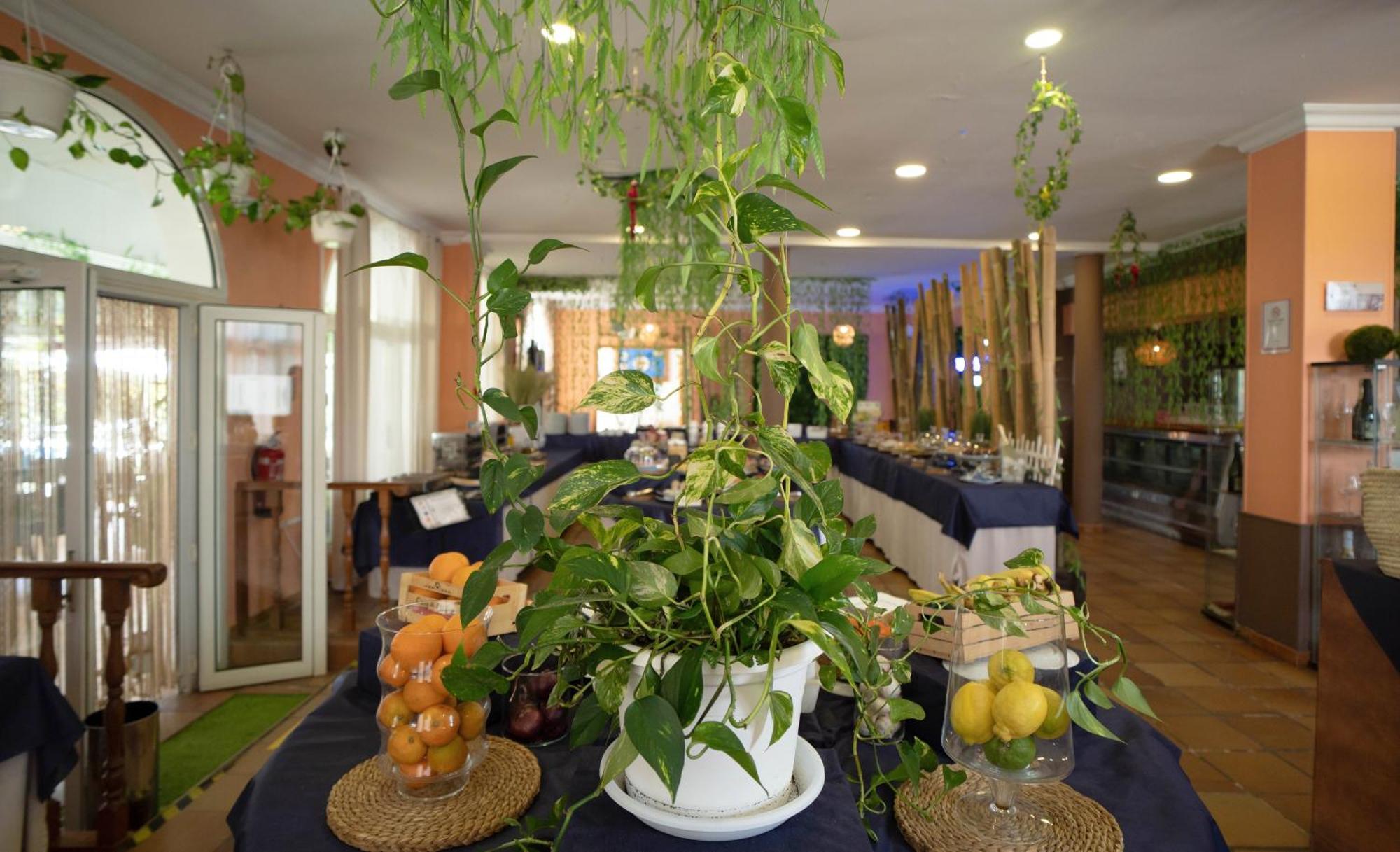 Hotel Albaida Nature Mazagón Kültér fotó